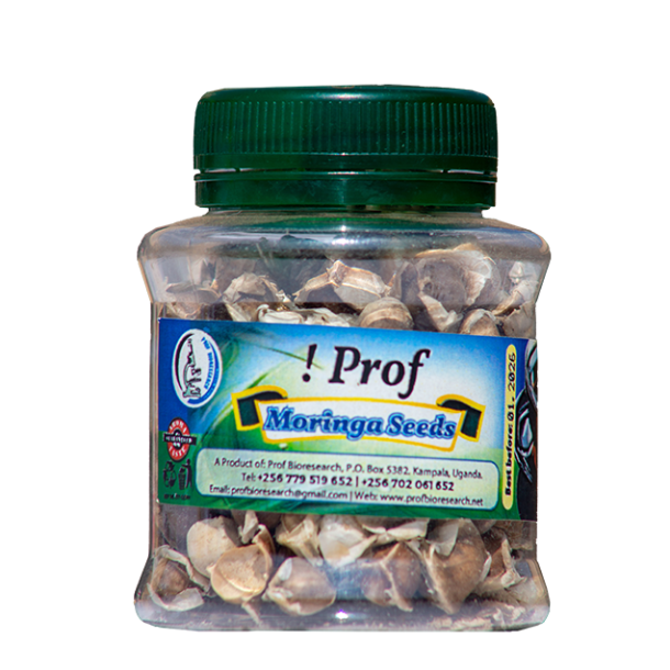 moringa seeds